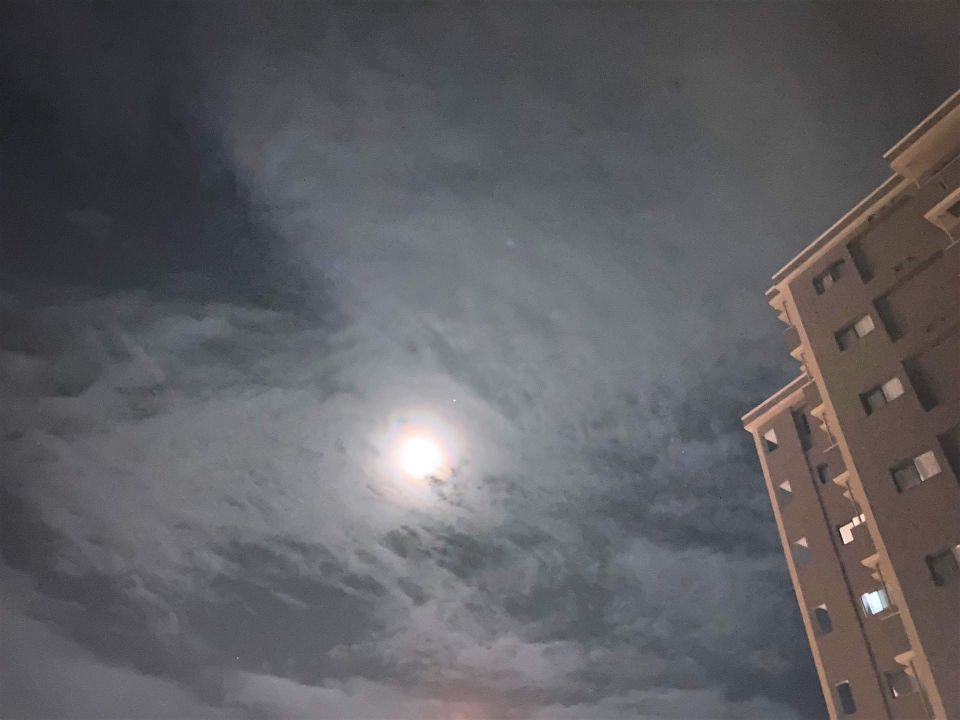 車庫シャッターの安全と快適を守るために知っておきたい点検修理と業者選びの極意